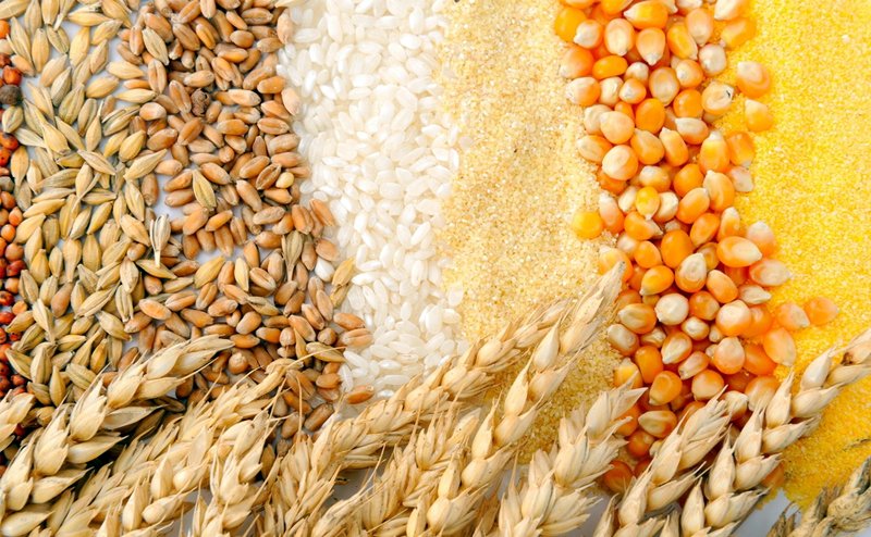 Grain Processing Industry